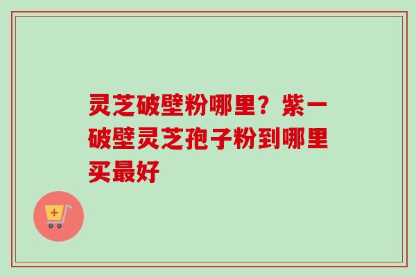灵芝破壁粉哪里？紫一破壁灵芝孢子粉到哪里买好