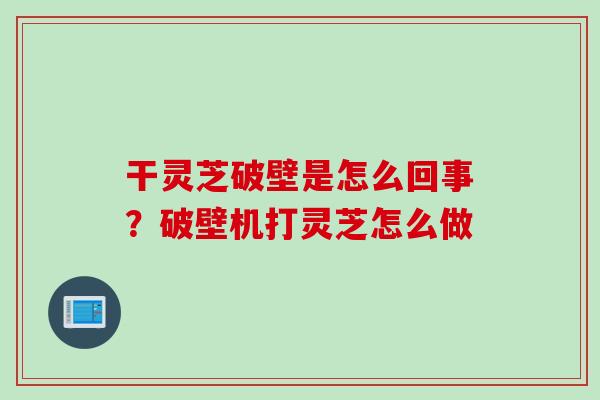 干灵芝破壁是怎么回事？破壁机打灵芝怎么做