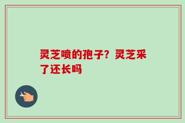 灵芝喷的孢子？灵芝采了还长吗