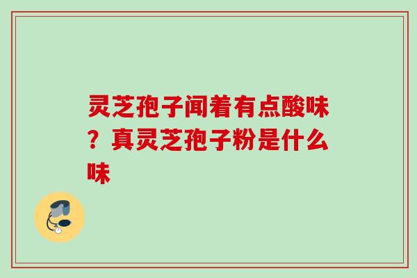 灵芝孢子闻着有点酸味？真灵芝孢子粉是什么味