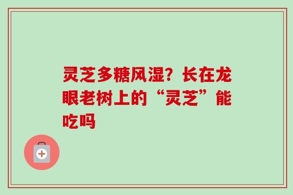 灵芝多糖风湿？长在龙眼老树上的“灵芝”能吃吗