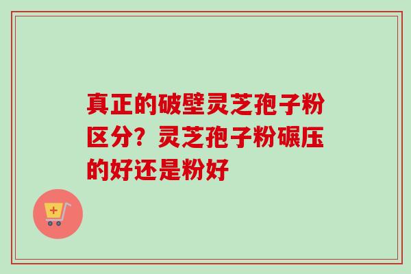 真正的破壁灵芝孢子粉区分？灵芝孢子粉碾压的好还是粉好