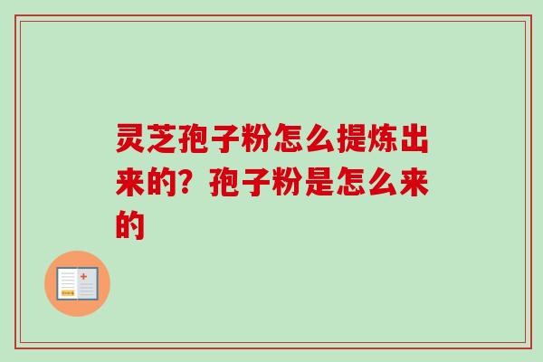 灵芝孢子粉怎么提炼出来的？孢子粉是怎么来的