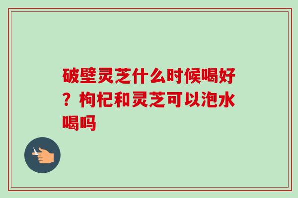 破壁灵芝什么时候喝好？枸杞和灵芝可以泡水喝吗