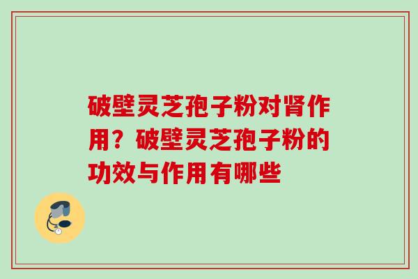 破壁灵芝孢子粉对肾作用？破壁灵芝孢子粉的功效与作用有哪些