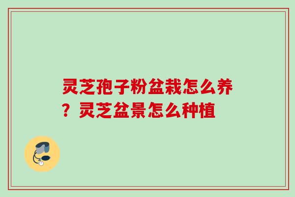 灵芝孢子粉盆栽怎么养?灵芝盆景怎么种植 灵芝孢子粉盆栽怎么养?灵芝盆景怎么种植