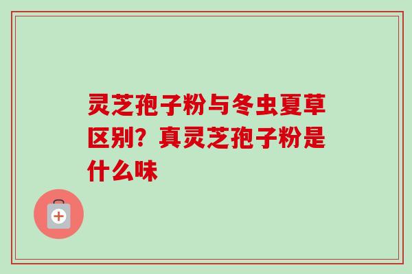 灵芝孢子粉与冬虫夏草区别？真灵芝孢子粉是什么味