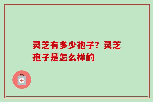灵芝有多少孢子？灵芝孢子是怎么样的