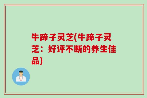 牛蹄子灵芝(牛蹄子灵芝：好评不断的养生佳品)