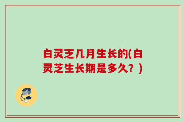 白灵芝几月生长的(白灵芝生长期是多久？)