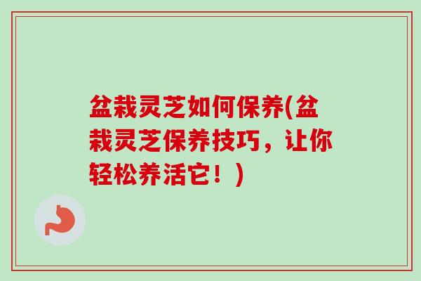 盆栽灵芝如何保养(盆栽灵芝保养技巧,让你轻松养活它!) 盆栽灵芝如何保养(盆栽灵芝保养技巧,让你轻松养活它!)