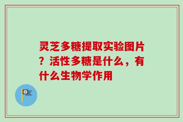 灵芝多糖提取实验图片？活性多糖是什么，有什么生物学作用