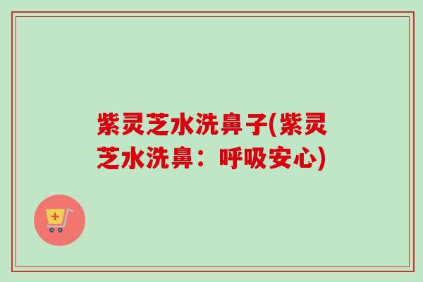 紫灵芝水洗鼻子(紫灵芝水洗鼻：呼吸安心)
