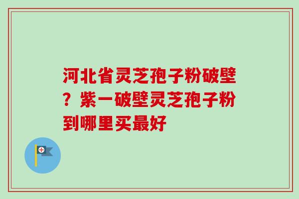河北省灵芝孢子粉破壁？紫一破壁灵芝孢子粉到哪里买最好