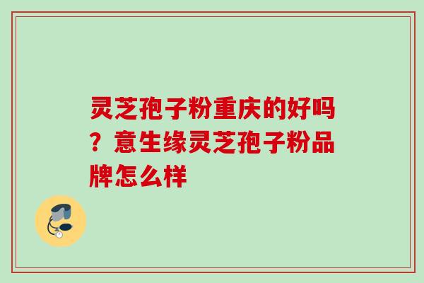 灵芝孢子粉重庆的好吗?意生缘灵芝孢子粉品牌怎么样 灵芝孢子粉重庆的好吗?意生缘灵芝孢子粉品牌怎么样