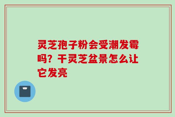 灵芝孢子粉会受潮发霉吗？干灵芝盆景怎么让它发亮