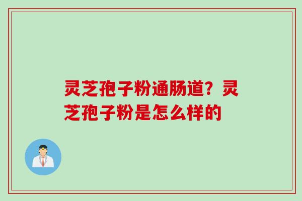 灵芝孢子粉通肠道？灵芝孢子粉是怎么样的