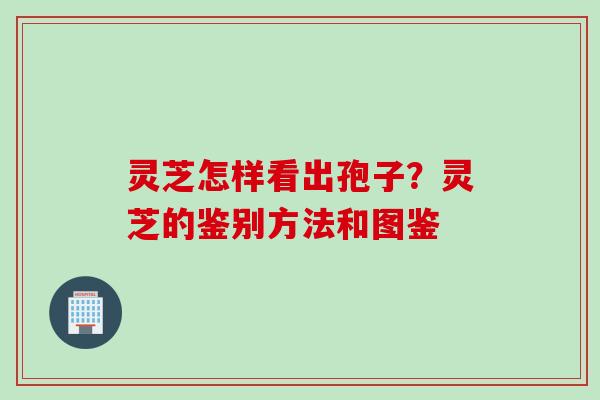 灵芝怎样看出孢子？灵芝的鉴别方法和图鉴