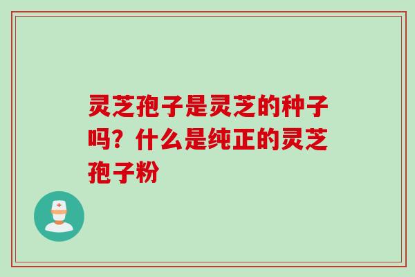 灵芝孢子是灵芝的种子吗？什么是纯正的灵芝孢子粉