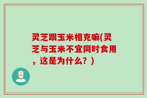 灵芝跟玉米相克嘛(灵芝与玉米不宜同时食用，这是为什么？)