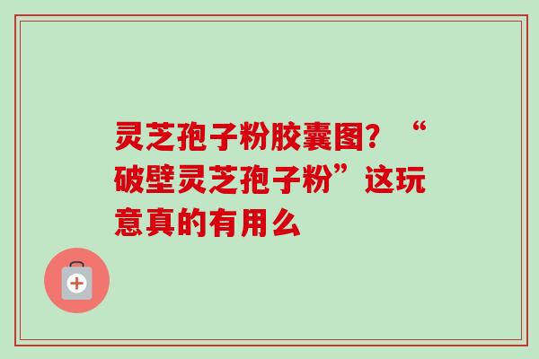 灵芝孢子粉胶囊图？“破壁灵芝孢子粉”这玩意真的有用么
