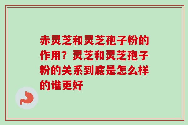 赤灵芝和灵芝孢子粉的作用？灵芝和灵芝孢子粉的关系到底是怎么样的谁更好