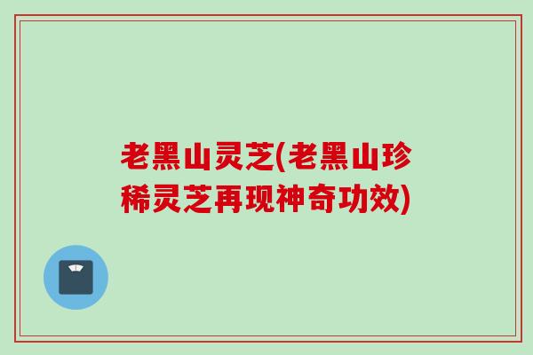 老黑山灵芝(老黑山珍稀灵芝再现神奇功效)