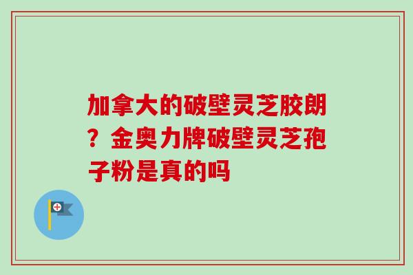 加拿大的破壁灵芝胶朗？金奥力牌破壁灵芝孢子粉是真的吗