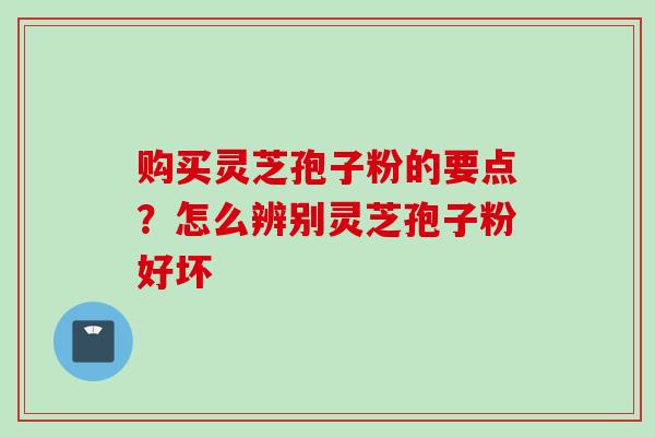 购买灵芝孢子粉的要点？怎么辨别灵芝孢子粉好坏