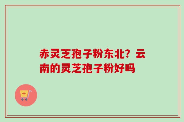 赤灵芝孢子粉东北?云南的灵芝孢子粉好吗 赤灵芝孢子粉东北?云南的灵芝孢子粉好吗