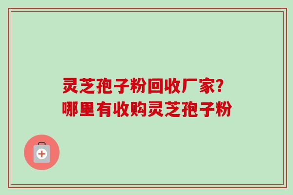 灵芝孢子粉回收厂家？哪里有收购灵芝孢子粉