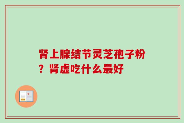 肾上腺结节灵芝孢子粉？肾虚吃什么最好