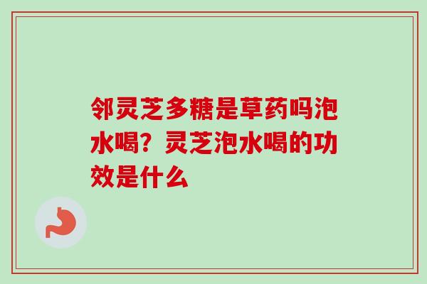 邻灵芝多糖是草药吗泡水喝？灵芝泡水喝的功效是什么