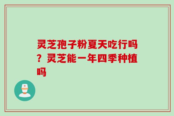 灵芝孢子粉夏天吃行吗？灵芝能一年四季种植吗