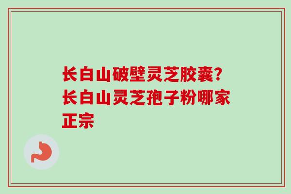 长白山破壁灵芝胶囊？长白山灵芝孢子粉哪家正宗