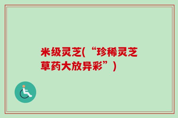 米级灵芝(“珍稀灵芝草药大放异彩”)