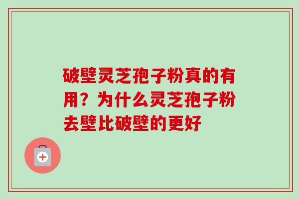 破壁灵芝孢子粉真的有用？为什么灵芝孢子粉去壁比破壁的更好