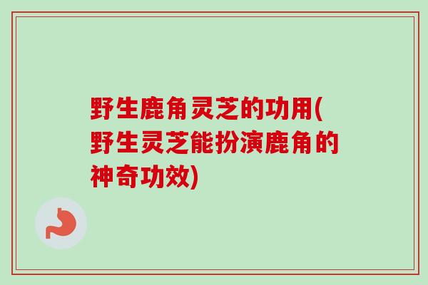 野生鹿角灵芝的功用(野生灵芝能扮演鹿角的神奇功效) 野生鹿角灵芝的功用(野生灵芝能扮演鹿角的神奇功效)