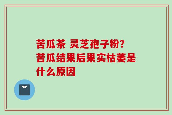 苦瓜茶 灵芝孢子粉？苦瓜结果后果实枯萎是什么原因