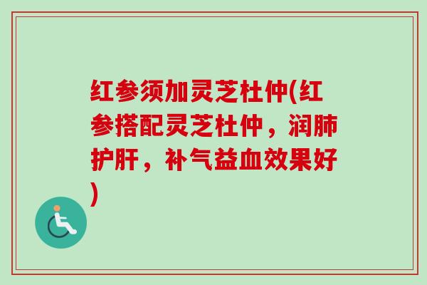 红参须加灵芝杜仲(红参搭配灵芝杜仲，润肺护肝，补气益血效果好)