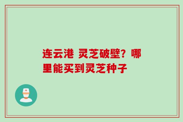 连云港 灵芝破壁？哪里能买到灵芝种子