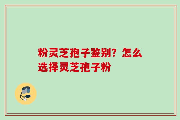 粉灵芝孢子鉴别？怎么选择灵芝孢子粉