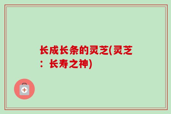 长成长条的灵芝(灵芝：长寿之神)
