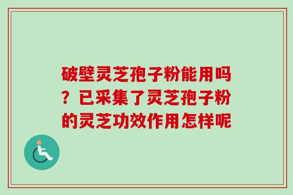 破壁灵芝孢子粉能用吗？已采集了灵芝孢子粉的灵芝功效作用怎样呢