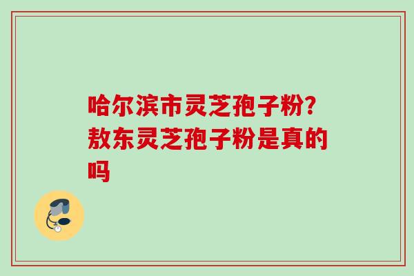 哈尔滨市灵芝孢子粉？敖东灵芝孢子粉是真的吗