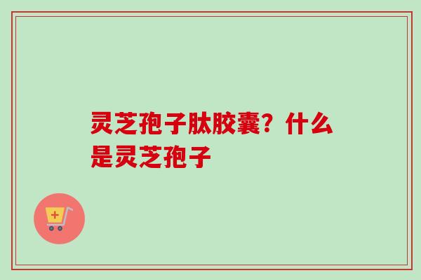 灵芝孢子肽胶囊？什么是灵芝孢子