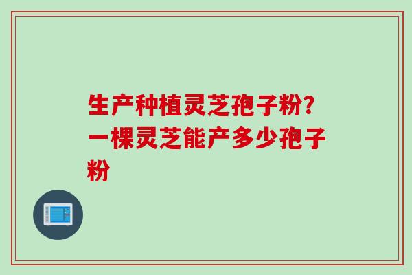 生产种植灵芝孢子粉?一棵灵芝能产多少孢子粉 生产种植灵芝孢子粉?一棵灵芝能产多少孢子粉