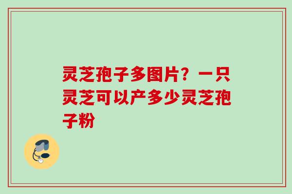 灵芝孢子多图片？一只灵芝可以产多少灵芝孢子粉