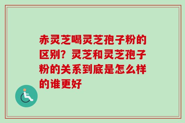 赤灵芝喝灵芝孢子粉的区别?灵芝和灵芝孢子粉的关系到底是怎么样的谁更好 赤灵芝喝灵芝孢子粉的区别?灵芝和灵芝孢子粉的关系到底是怎么样的谁更好