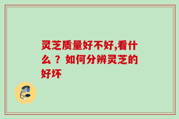 灵芝质量好不好,看什么 ？如何分辨灵芝的好坏
